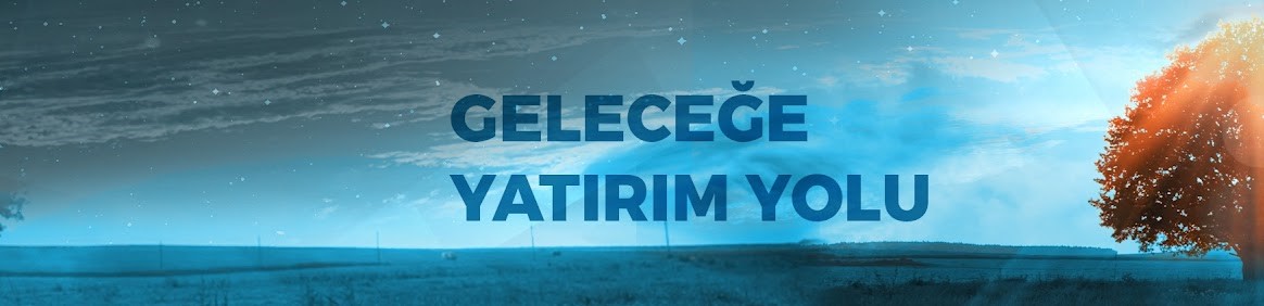 Türkiye Wealth Fund