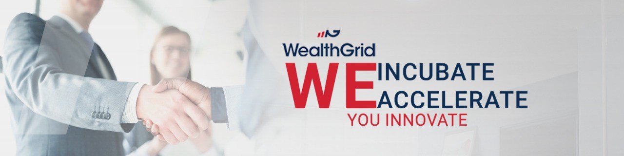 Wealth-Grid Venture Studio