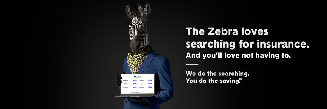 The Zebra